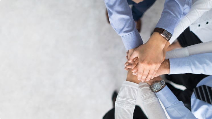 Компания “BUL MEGA TRADE” LTD (E.U)